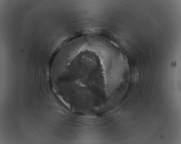 X0000090440716200708031154