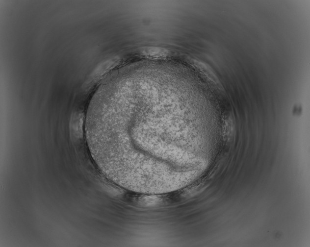 X0000090440717200708031154