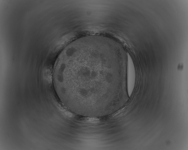 X0000090440719200708031154