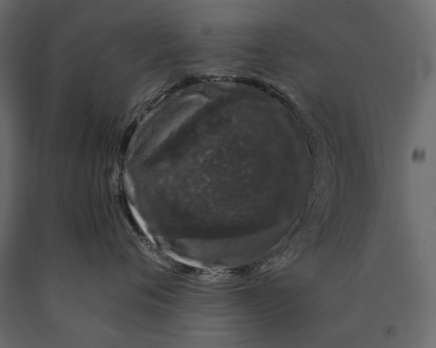 X0000090440720200708031154