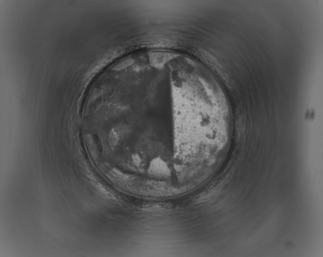 X0000090440721200708031153