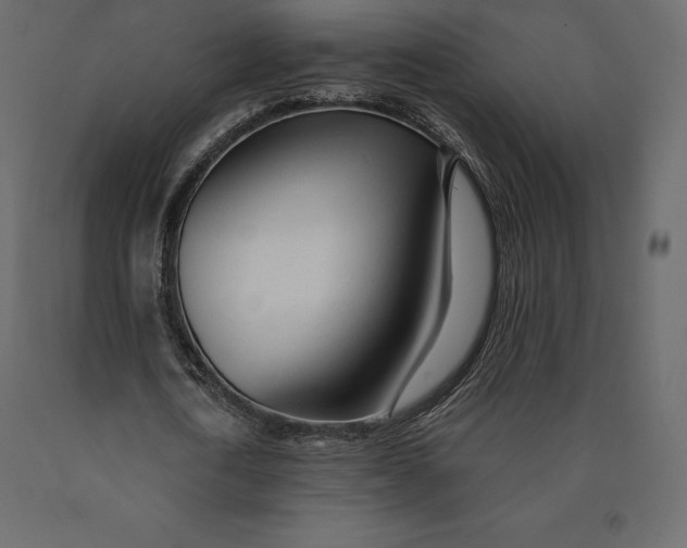 X0000090440722200708031153