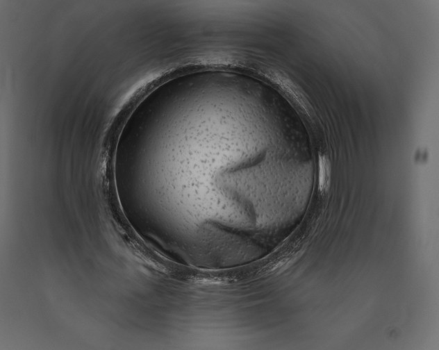 X0000090440723200708031153