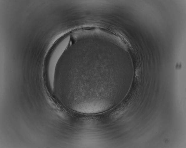 X0000090440724200708031153