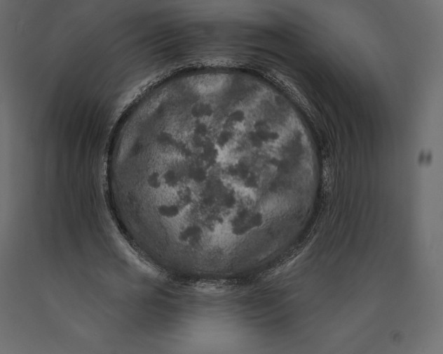 X0000090440725200708031153