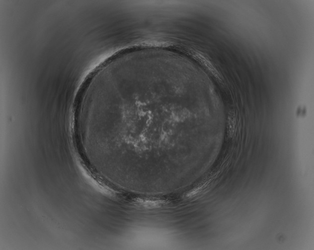 X0000090440726200708031153