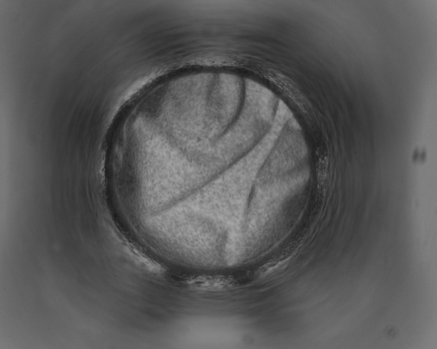 X0000090440727200708031153