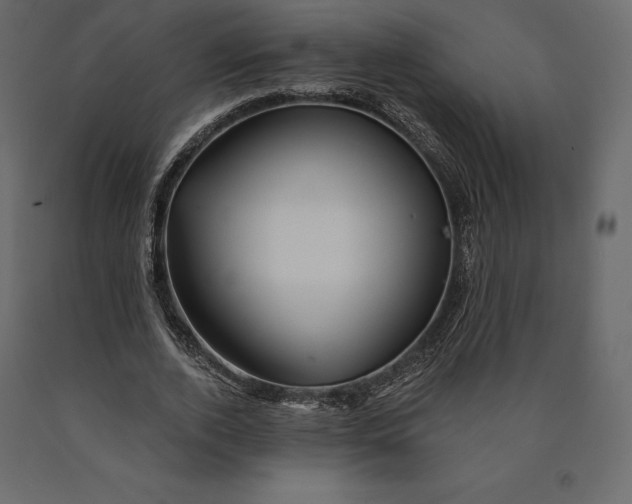 X0000090440728200708031153