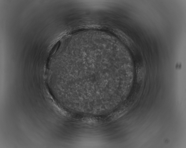 X0000090440729200708031153