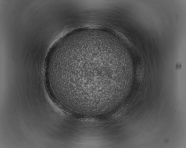 X0000090440730200708031153