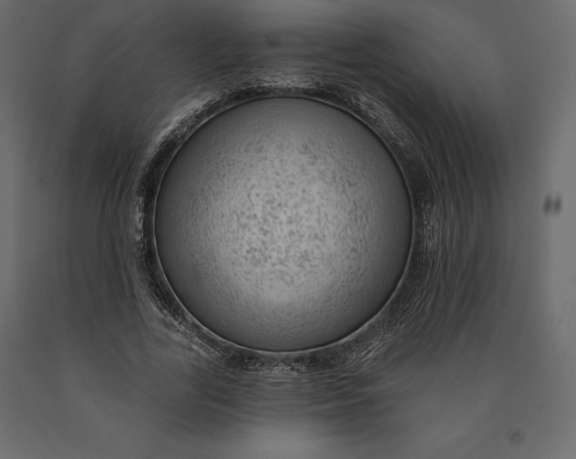 X0000090440731200708031153