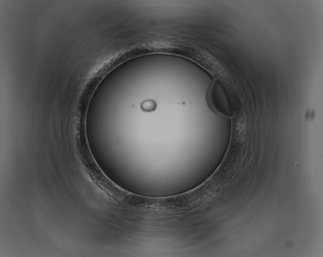 X0000090440732200708031153