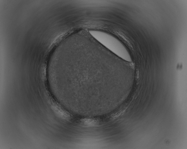 X0000090440733200708031153