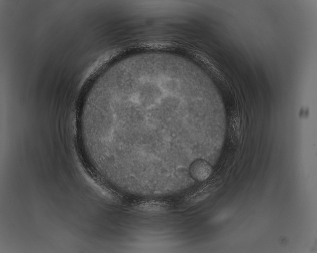 X0000090440734200708031153