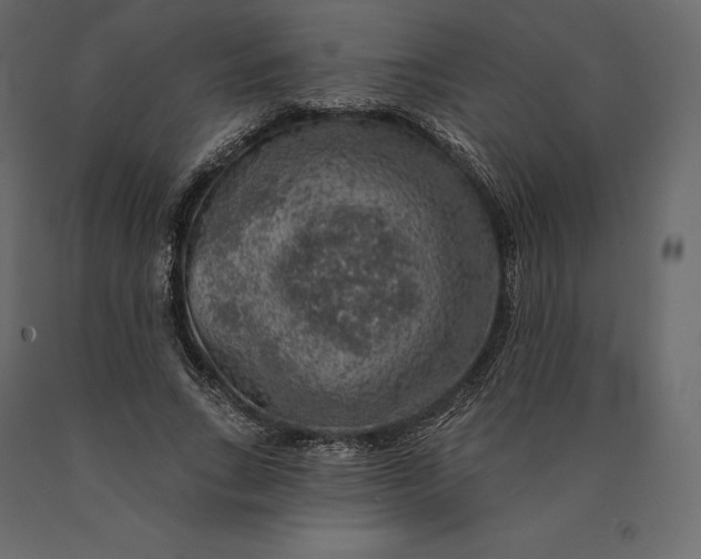 X0000090440735200708031153