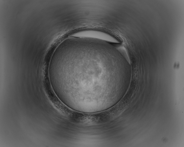 X0000090440736200708031153