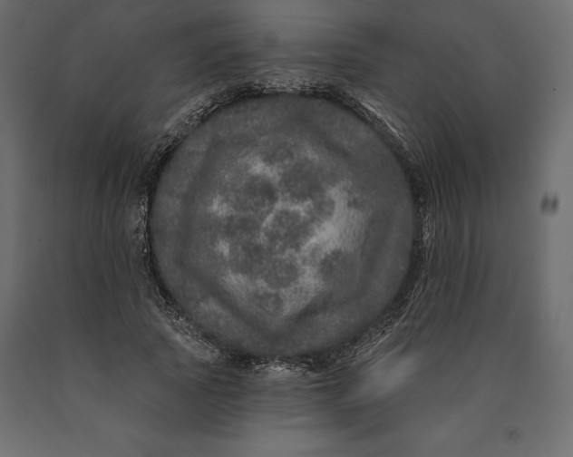 X0000090440737200708031153