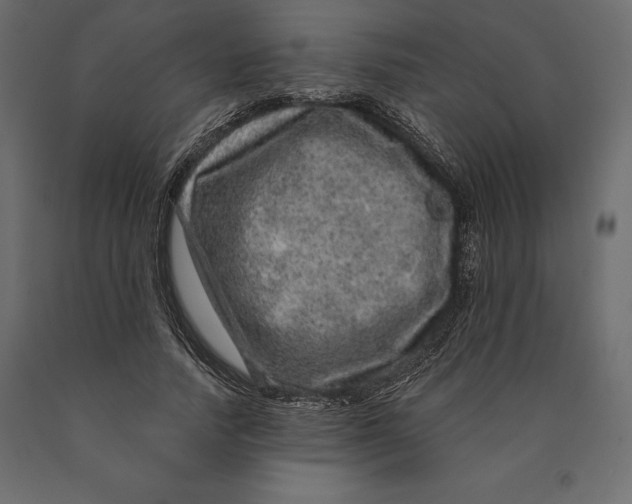 X0000090440738200708031153