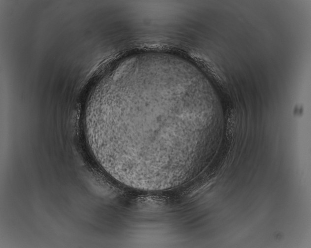 X0000090440739200708031153