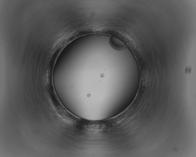 X0000090440740200708031153