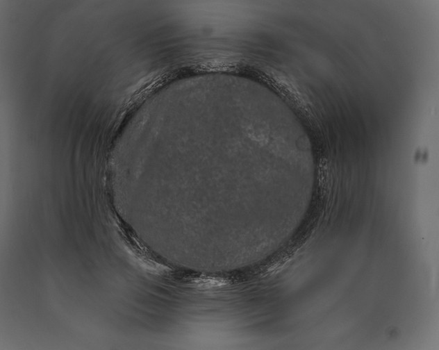 X0000090440741200708031153