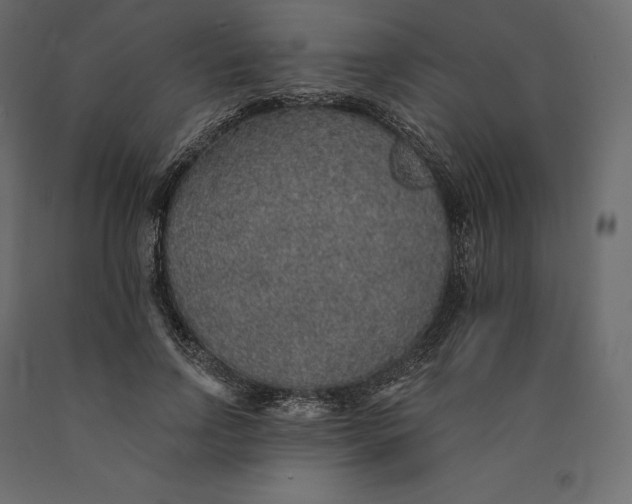 X0000090440742200708031153