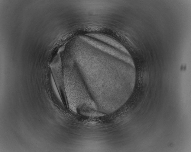 X0000090440743200708031153