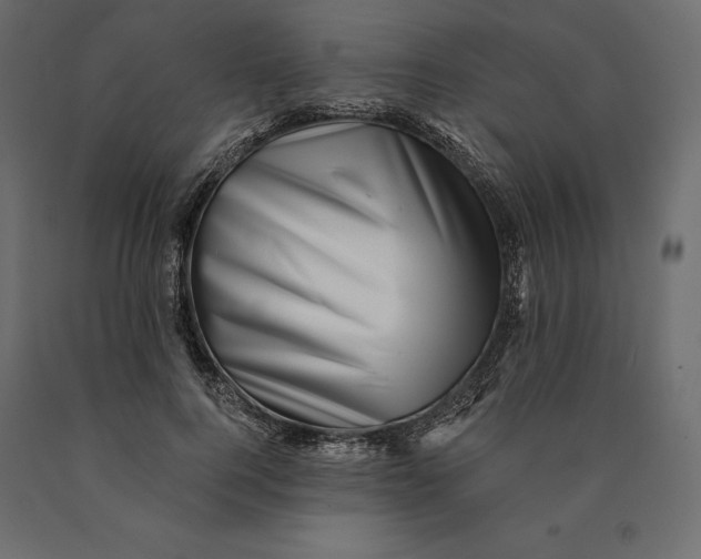 X0000090440744200708031153