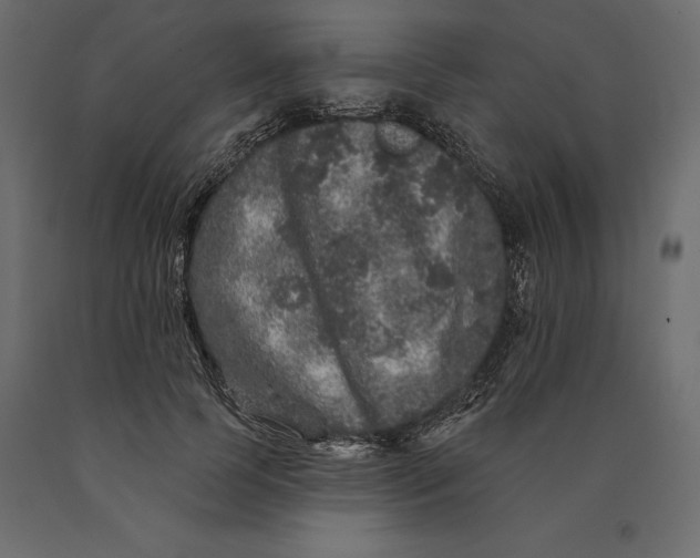 X0000090440745200708031153