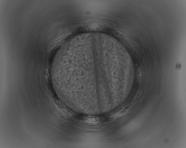 X0000090440746200708031153