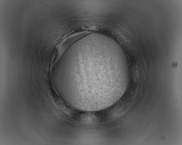 X0000090440747200708031153