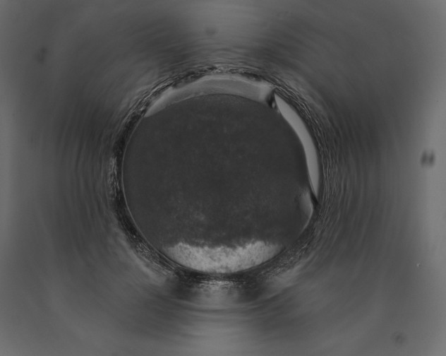 X0000090440748200708031153