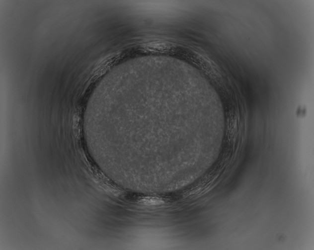 X0000090440749200708031153