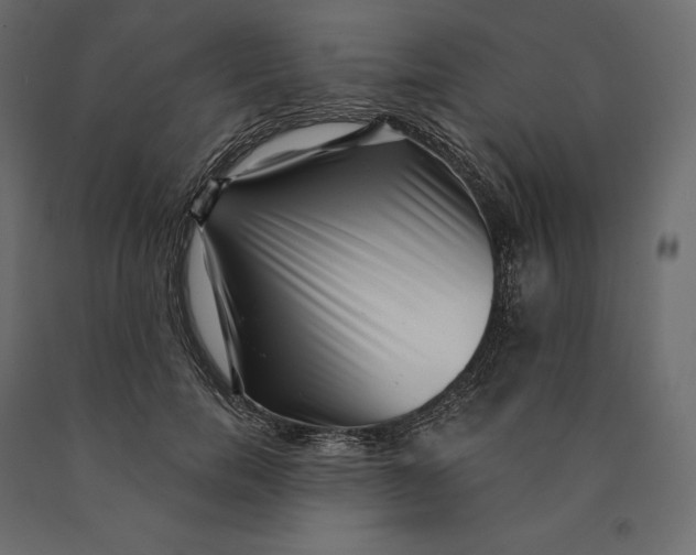 X0000090440750200708031153