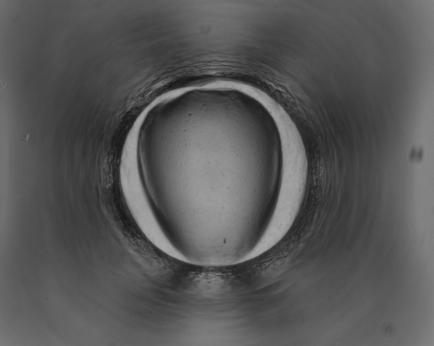 X0000090440751200708031153