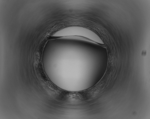 X0000090440752200708031153