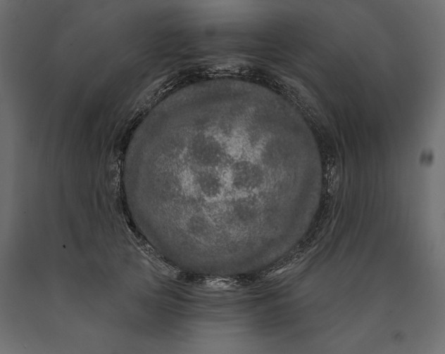 X0000090440753200708031153