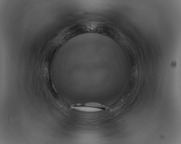 X0000090440754200708031153