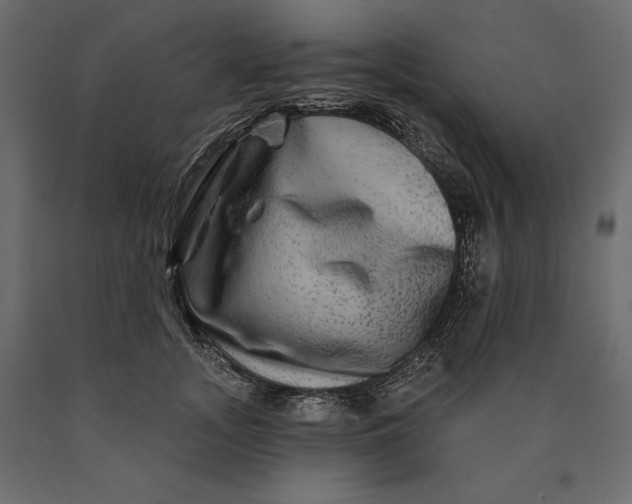 X0000090440755200708031153