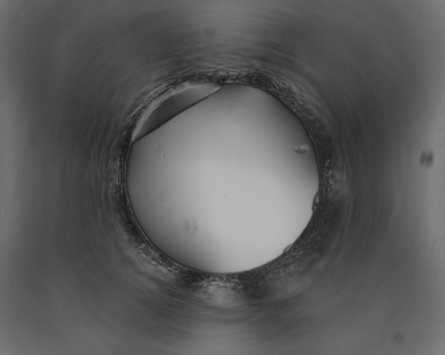 X0000090440756200708031153