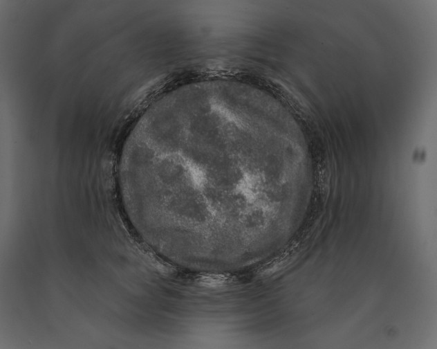 X0000090440757200708031153