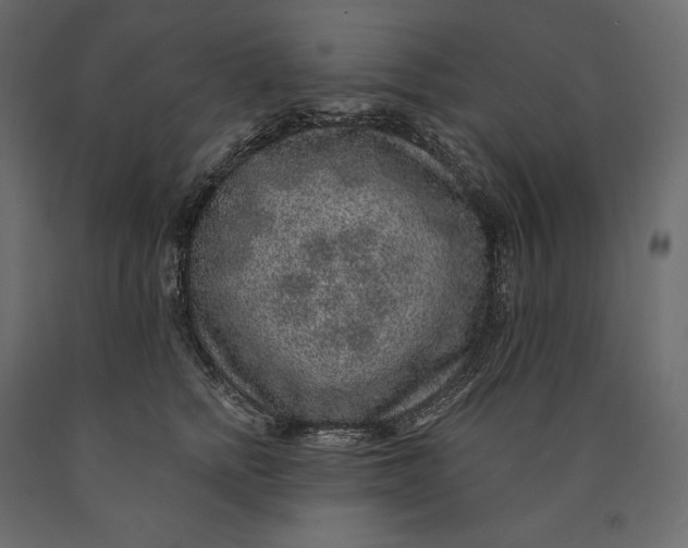 X0000090440758200708031153