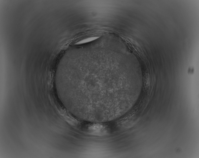 X0000090440759200708031153