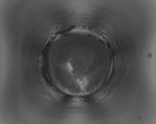 X0000090440760200708031153