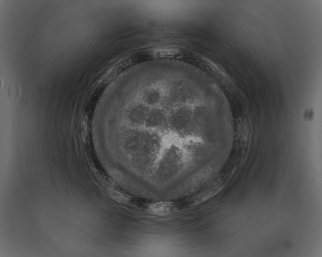 X0000090440761200708031153