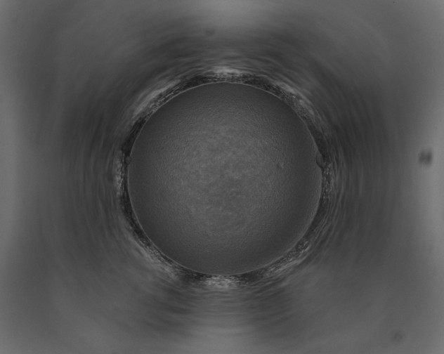 X0000090440762200708031153