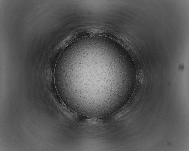 X0000090440763200708031153