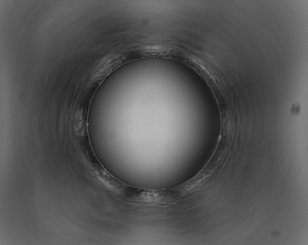 X0000090440764200708031153