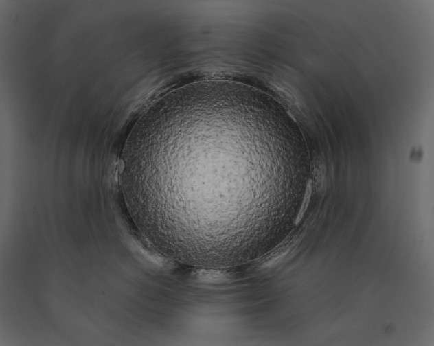 X0000090440766200708031154