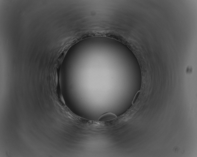 X0000090440768200708031154